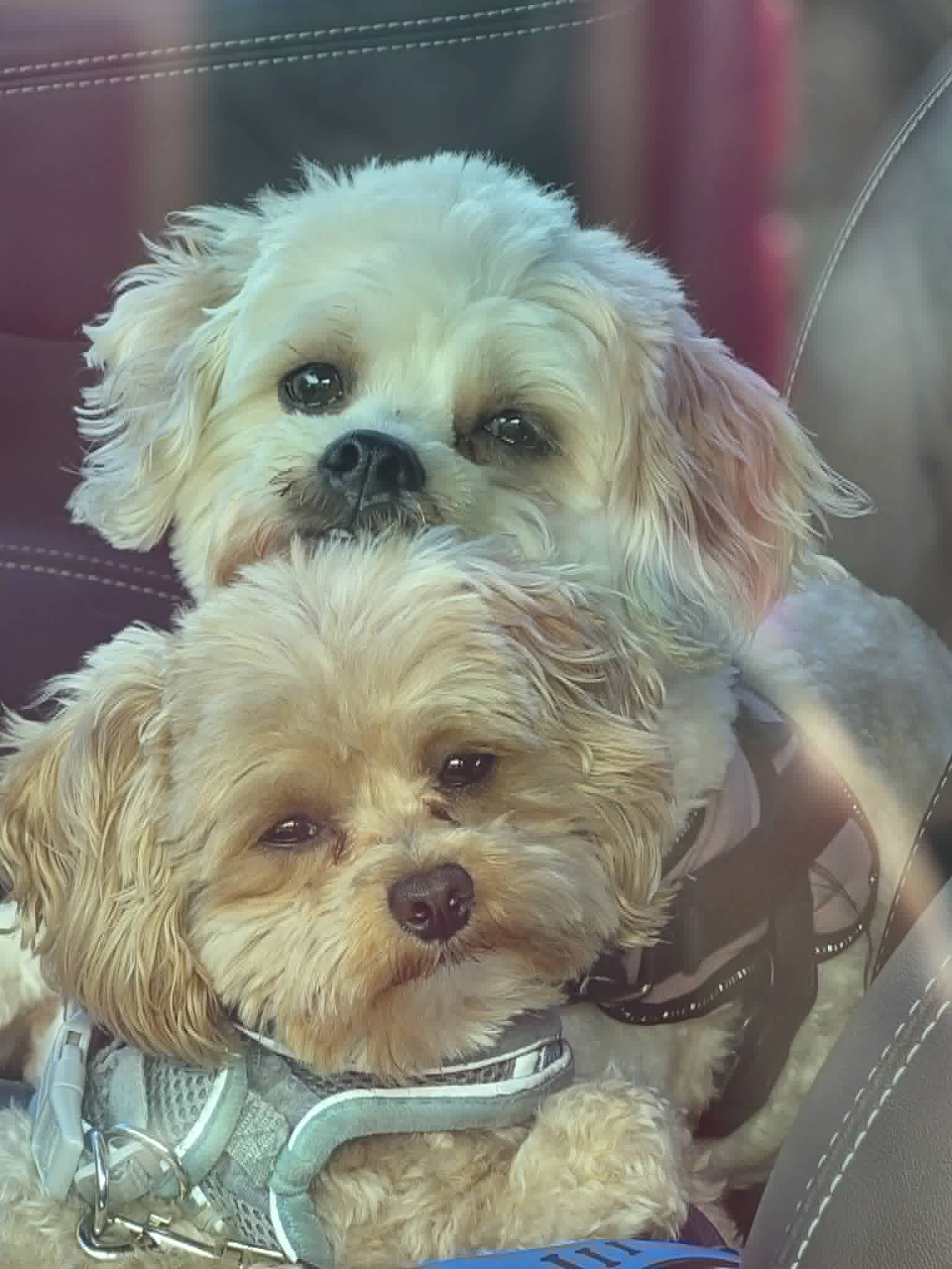 A moment from our ministry outreach
